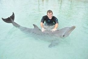 Swimming with the dolphins is an experience you'll remember forever!