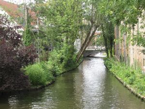 Bruges is a popular holiday destination. It has beautiful canals and mild to medium cobblestones throughout the city.