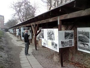 Picture of the lower level of the exhibit.  A ramp to this level will be installed in May 2010.