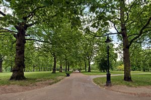 Image of Green Park located across the street