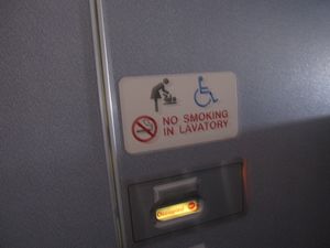 Planes on trans-Atlantic flights have at least 1 disabled bathroom.