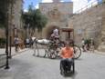 Panoramic Malta Accessible Cruise Excursion from Valletta