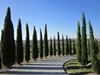 Article - Accessible Travel in Tuscany-5781
