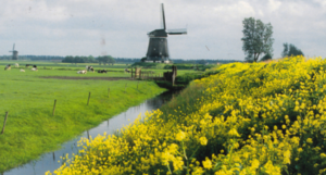 private-accessible-half-day-tour-to-the-dutch-country-side002